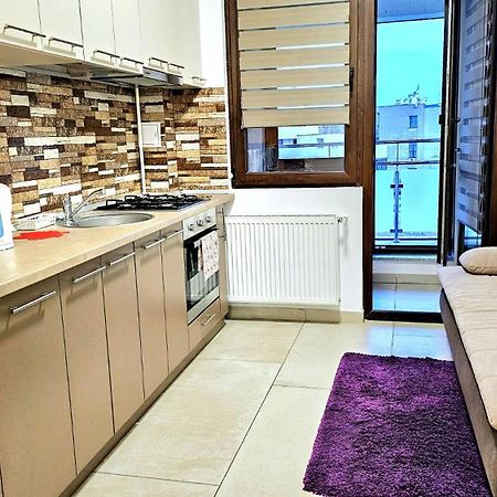 Karina New Flat Near Palas Mall Iasi Exterior foto